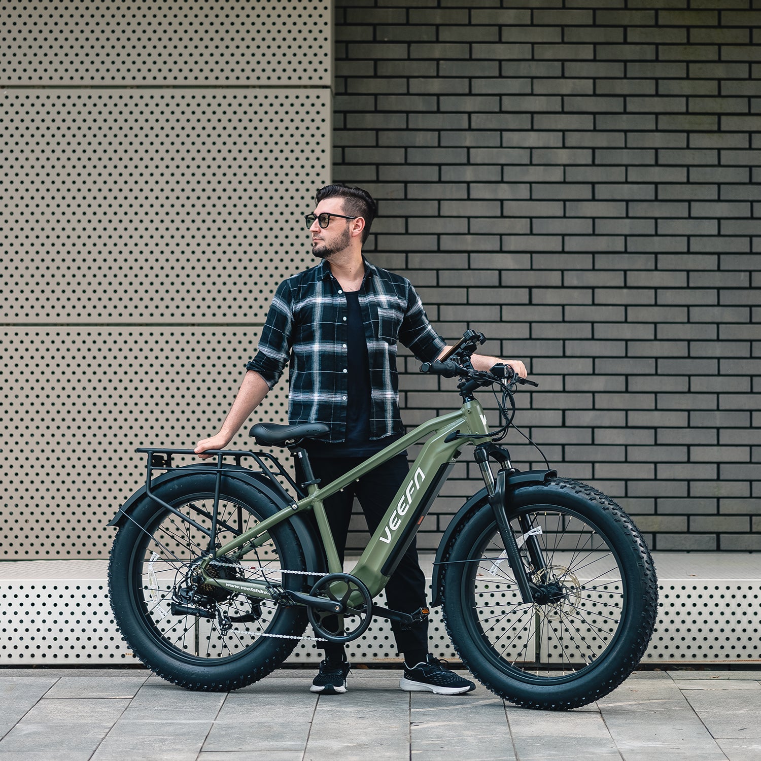 Electric fat tire mountain bike online